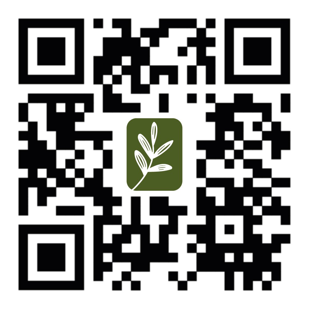 Kalpataru | Antojos de gaia